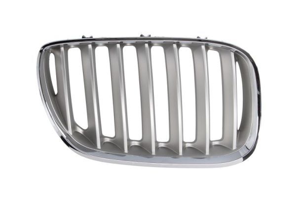 BLIC 6502-07-0095998P Radiator Grille