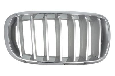Radiator Grille BLIC 6502-07-00969966P