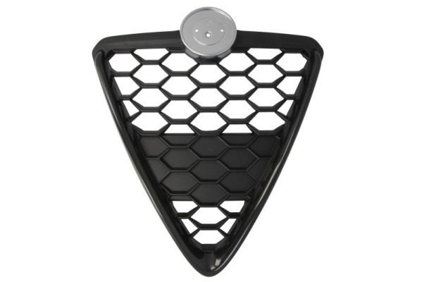 BLIC 6502-07-0105999GP Radiator Grille