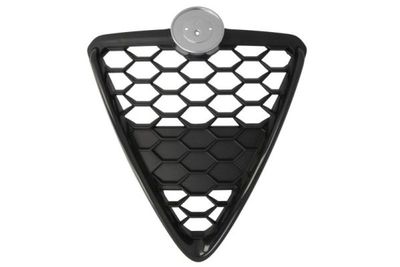 Radiator Grille BLIC 6502-07-0105999GP