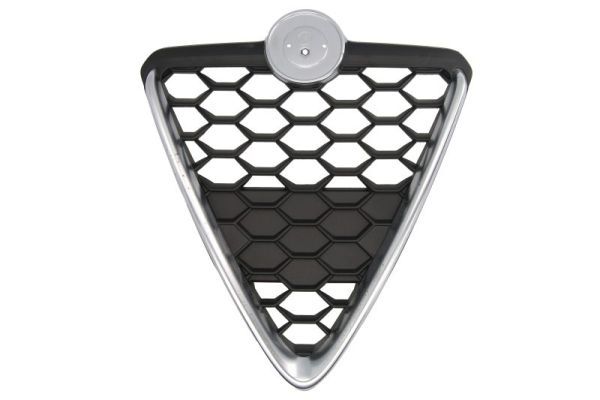 BLIC 6502-07-0105999P Radiator Grille