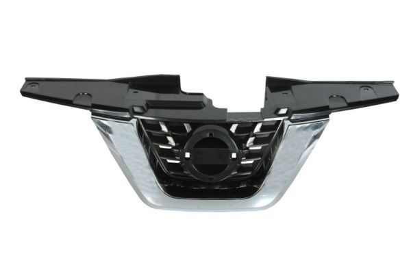BLIC 6502-07-1601993P Radiator Grille