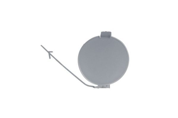 BLIC 6502-07-2019925P Flap, tow hook
