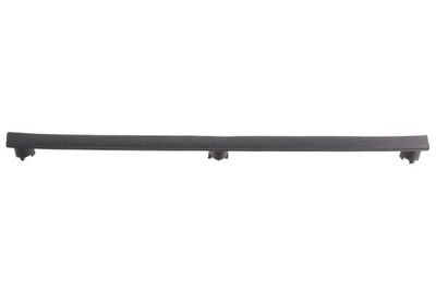 Radiator Grille BLIC 6502-07-2562990P