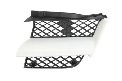 Radiator Grille BLIC 6502-07-3749991P