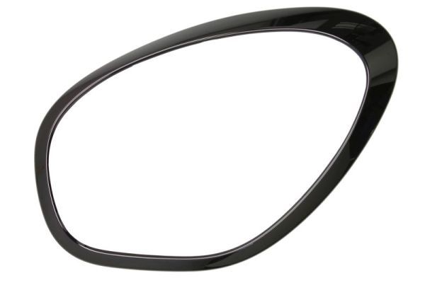 BLIC 6502-07-4003993P Frame, headlight