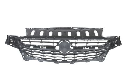 Radiator Grille BLIC 6502-07-5025990Q