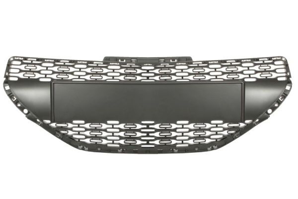 BLIC 6502-07-5509990P Radiator Grille