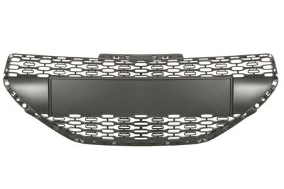 Radiator Grille BLIC 6502-07-5509990P