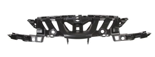 BLIC 6502-07-5519991P Radiator Grille