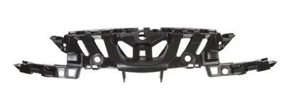 Radiator Grille BLIC 6502-07-5519991P