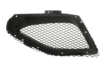 Radiator Grille BLIC 6502-07-6901991SP