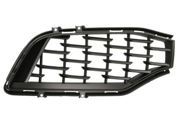 BLIC 6502-07-6901996P Radiator Grille