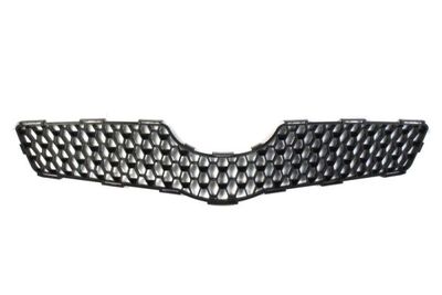 Radiator Grille BLIC 6502-07-8155990P