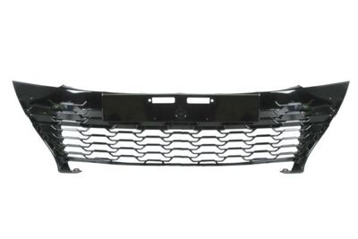 Radiator Grille BLIC 6502-07-8156992P