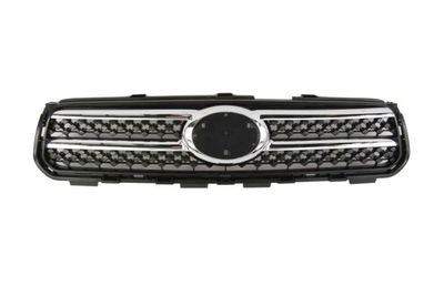 Radiator Grille BLIC 6502-07-8179991P