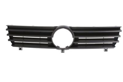 Radiator Grille BLIC 6502-07-9504993Q