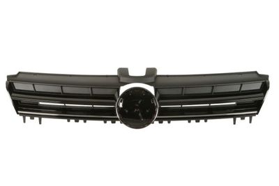 Radiator Grille BLIC 6502-07-9550996Q