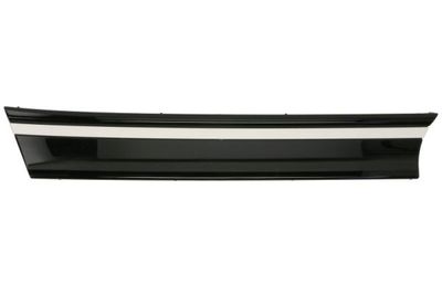 Radiator Grille BLIC 6502-07-9584993P