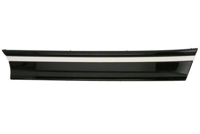 Radiator Grille BLIC 6502-07-9584994P