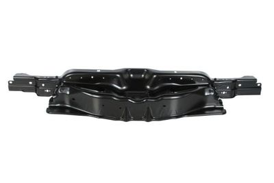 Radiator Support BLIC 6502-08-2098200P