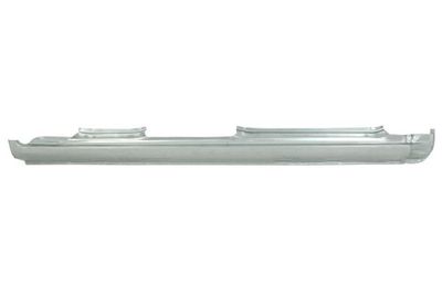Rocker Panel BLIC 6505-06-8114012P