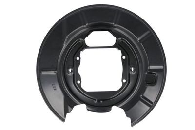 Splash Guard, brake disc BLIC 6508-03-0065878K