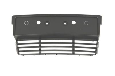 Licence Plate Holder BLIC 6509-01-0057920P