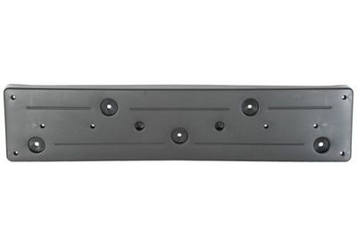 Licence Plate Holder BLIC 6509-01-0070920P