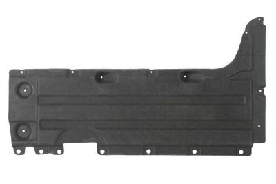 Engine Cover BLIC 6601-02-0093982P