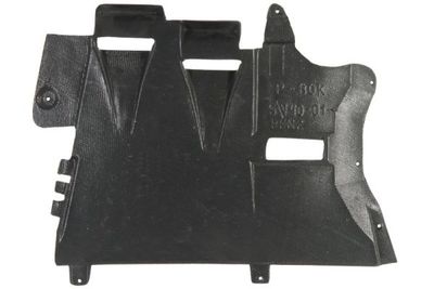 Engine Cover BLIC 6601-02-9008879P
