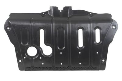 Engine Cover BLIC 6601-05-0000057Q