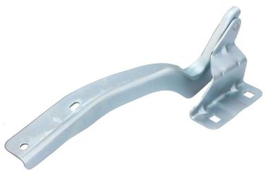 Hinge, bonnet BLIC 6802-00-1617453P