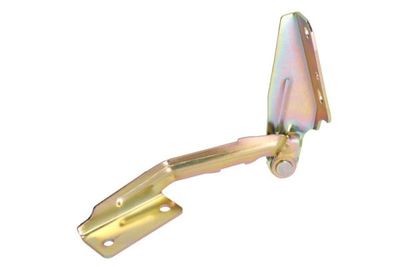 Hinge, bonnet BLIC 6802-00-2532451P