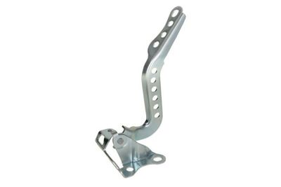 Hinge, bonnet BLIC 6802-00-8102452P