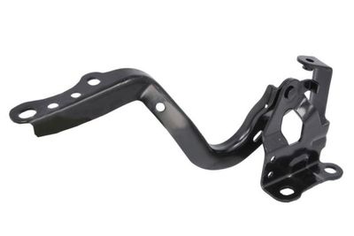 Hinge, bonnet BLIC 6802-00-8189452P