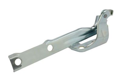 Hinge, bonnet BLIC 6802-00-9548451P