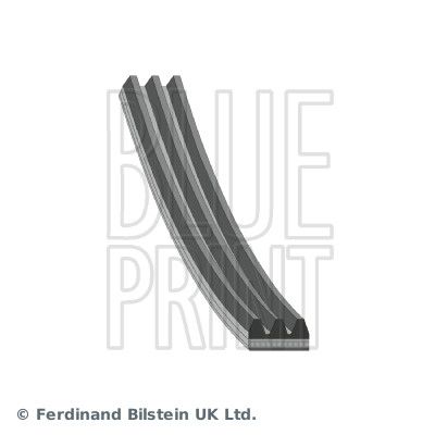 BLUE PRINT AD03R848 V-Ribbed Belt