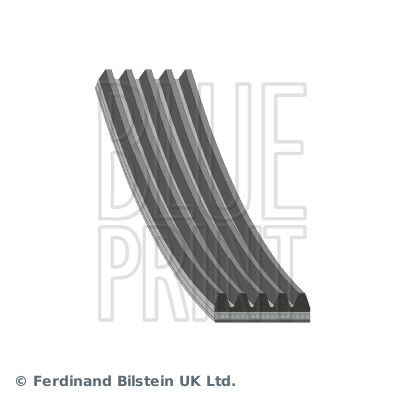 BLUE PRINT AD05R954 V-Ribbed Belt
