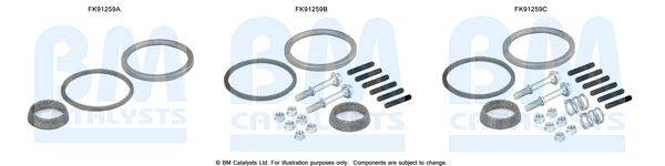 BM Catalysts FK91259 Mounting Kit, catalytic converter