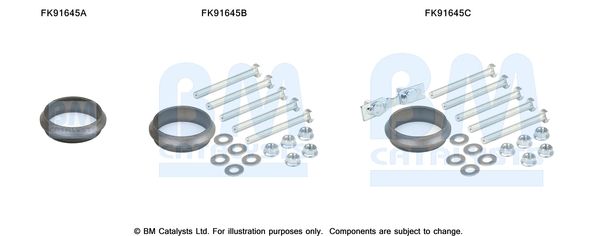 BM Catalysts FK91645 Mounting Kit, catalytic converter