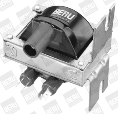 Ignition Coil BorgWarner (BERU) ZS248