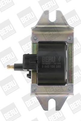 BorgWarner (BERU) ZS250 Ignition Coil