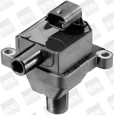 BorgWarner (BERU) ZS309 Ignition Coil