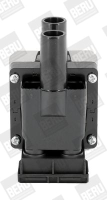 Ignition Coil BorgWarner (BERU) ZS313
