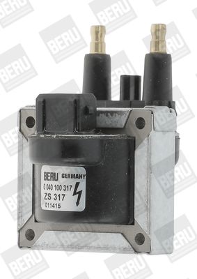 BorgWarner (BERU) ZS317 Ignition Coil