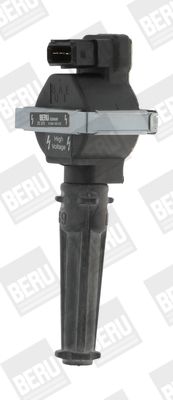 BorgWarner (BERU) ZS323 Ignition Coil