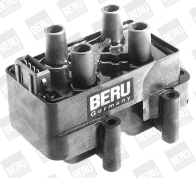 Ignition Coil BorgWarner (BERU) ZS341