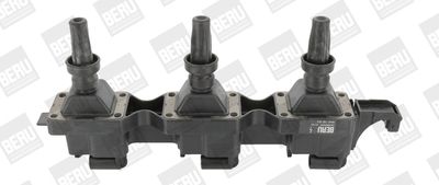 Ignition Coil BorgWarner (BERU) ZS343