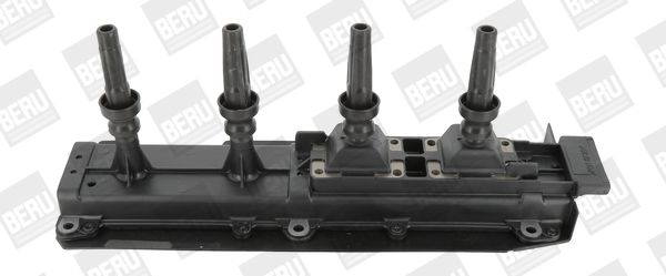BorgWarner (BERU) ZS349 Ignition Coil